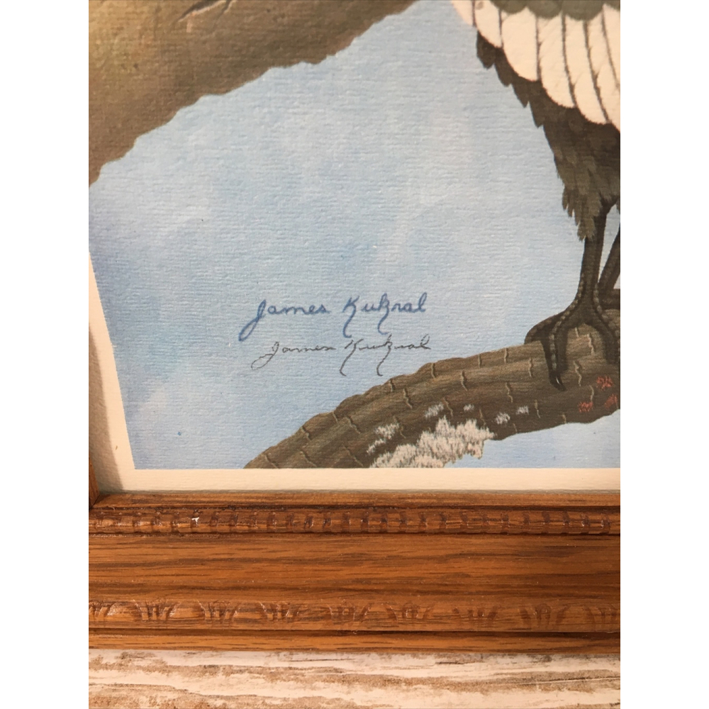 James Kukrul Wildlife Print Signed & Framed Eagle Crane Woodpecker 22x27 - Picture 9 of 16